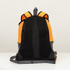 Рюкзак-переноска для животных, максимальный вес 16 кг, 36 х 21 х 45 см, оранжевый