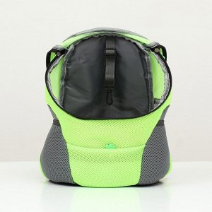 Рюкзак-переноска для животных, максимальный вес 10 кг, 30 х 16 х 34 см, зелёный
