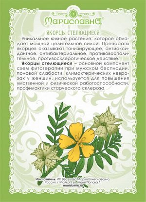 ЯКОРЦЫ СТЕЛЮЩИЕСЯ (ТРАВА)