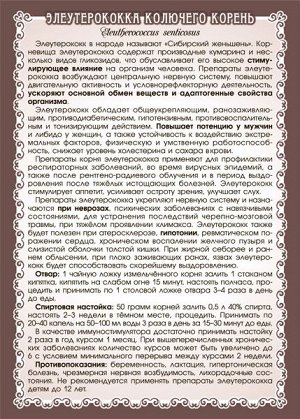 ЭЛЕУТЕРОКОКК  (КОРЕНЬ)