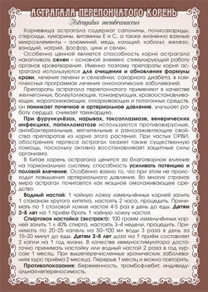 АСТРАГАЛ ПЕРЕПОНЧАТЫЙ (КОРЕНЬ)
