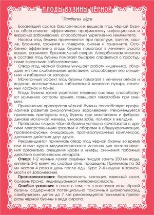 Бузина чёрная (плоды) 50 г