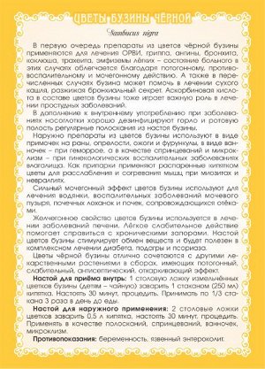 Бузина чёрная цвет