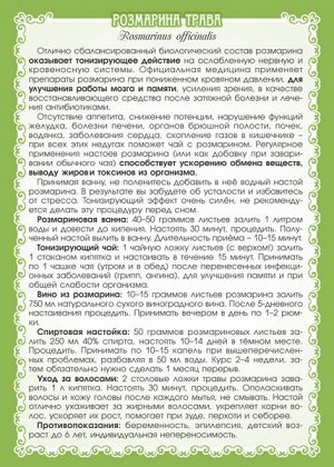 РОЗМАРИН (ТРАВА)