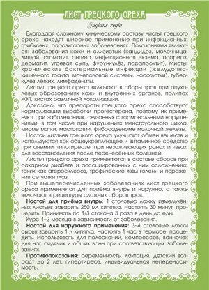 ОРЕХ ГРЕЦКИЙ (ЛИСТ)