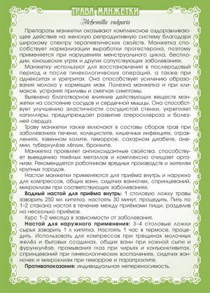 МАНЖЕТКА ОБЫКНОВЕННАЯ (ТРАВА)