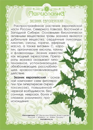 ЗЮЗНИК ЕВРОПЕЙСКИЙ (ТРАВА)