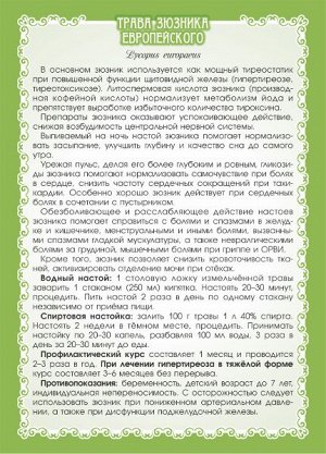 ЗЮЗНИК ЕВРОПЕЙСКИЙ (ТРАВА)