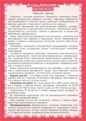 ЛИМОННИК КИТАЙСКИЙ (ЯГОДЫ)