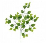 Ветка березы цвет зеленый лист 66 см HS-24-4
