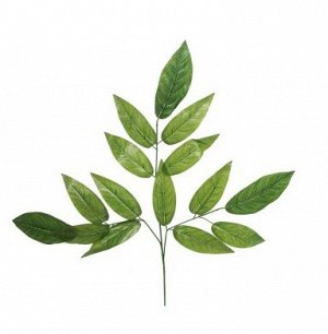 Ветка с листьями Лавра 74 см цвет зеленый HS 24-8