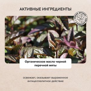 Натура Сиберика, Natura Siberica Гель для душа Био Антицеллюлитный 400 мл