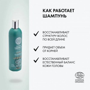 Натура Сиберика, Natura Siberica daily detox шампунь для жирных волос 400мл EXPS