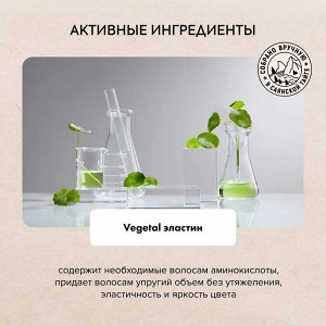 Натура Сиберика, Natura Siberica Шампунь для волос Био Защита цвета для окрашенных волос 400 мл EXPS