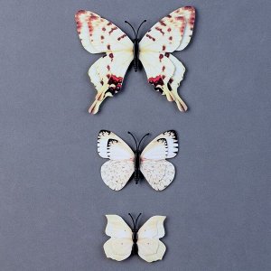 Набор для украшения «Бабочки», 12 шт, с чёрными вставками, цвет белый