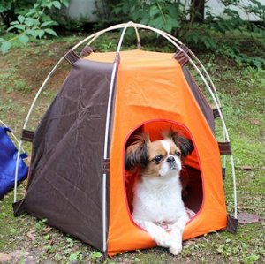 Палатка для собаки цвет: КАК НА ФОТО