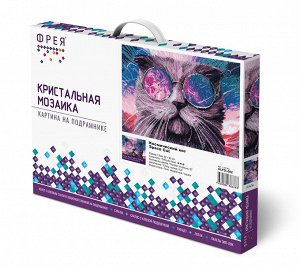 Кристальная (алмазная) мозаика "ФРЕЯ" ALPD-082 на подрамнике "Космический кот" 50 х 40 см