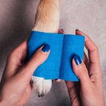 ☑ Товары для ветеринарных клиник: бинты