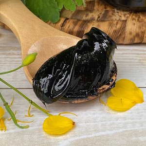 МУМИЁ АЛТАЙСКОЕ