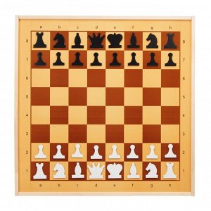 Демонстрационные шахматы и шашки 61 х 61 см, на магнитной доске, король 6.4 см