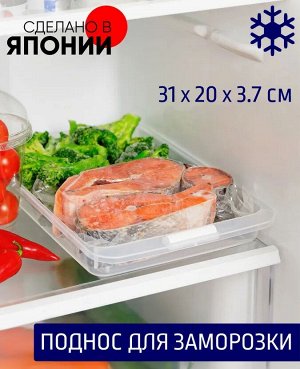 Поднос для заморозки