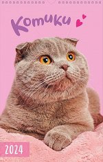 Котики