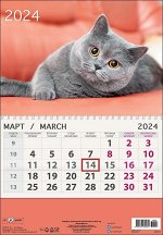 Вальяжность