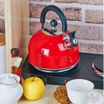 Красивые чайники КАТУНЬ, есть индукционные