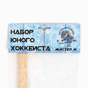 Набор для игры в хоккей «Мастер К», клюшка, шайба, мяч