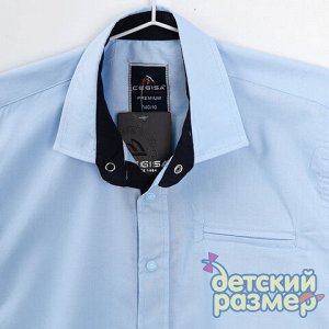 Рубашка на кнопочках голубой