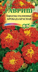 Бархатцы откл. Брокада красная (Тагетес) 0,3 г