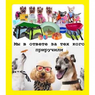 Мы в ответе за тех кого приручили