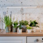 Фитосветильник для растений светодиодный линейный ULI-P18-15W/SPFB IP40 WHITE , 560мм, выкл. на корпусе. Спектр для фотосинтеза.
