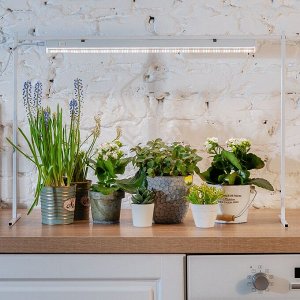 Фитосветильник для растений светодиодный линейный ULI-P18-15W/SPFB IP40 WHITE , 560мм, выкл. на корпусе. Спектр для фотосинтеза.