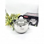 Кастрюля из нержавеющей стали с крышкой FESSLE диаметр 20 см (3.8 л)