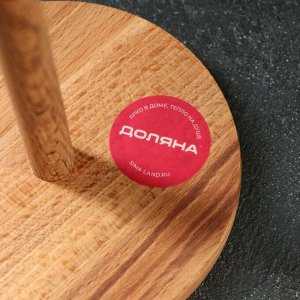 Держатель для кухонных бумажных полотенец Доляна, 13x25 см, бук, цвет и рисунок микс