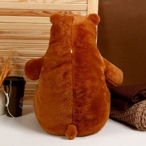 Мягкая игрушка «Медведь», 50 см, цвет коричневый