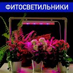 Фитолампы / светильники для растений