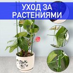 Уход за растениями. Поддержка, сеть для вьющихся, колышки