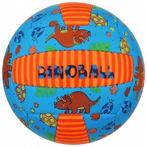 Волейбольный мяч MINSA, машинная сшивка, 18 панелей, р. 2, PVC