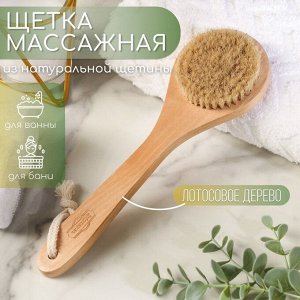 Щётка массажная из натуральной щетины, с ручкой, гладкая