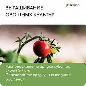 Субстрат Greengo кокосовые чипсы, натуральный грунт для террариумов и растений, в брикете, 5 л при разбухании