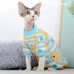 Одежда для котиков