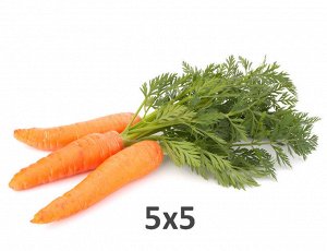 Морковь сушеная 5х5 0.5кг