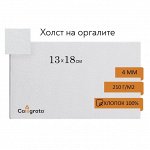 Холст на оргалите, хлопок 100%, 13x18 см, 4 мм, акриловый грунт