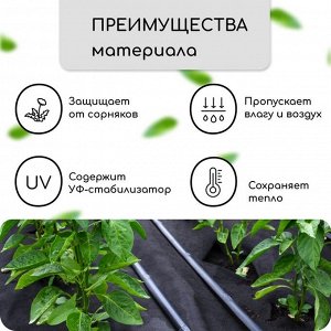 Материал мульчирующий, с перфорацией, 5?1.6 м, плотность 80 г/м?, спанбонд с УФ-стабилизатором, чёрный, Greengo, Эконом 30%