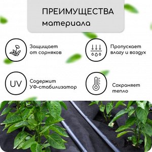 Материал мульчирующий, с перфорацией, 10 ? 1,6 м, плотность 80 г/м?, спанбонд с УФ-стабилизатором, чёрный, Greengo, Эконом 30%