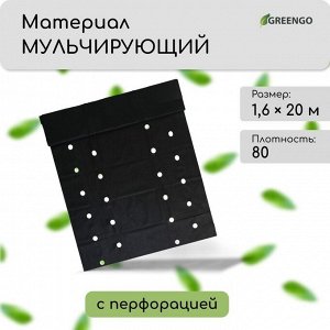 Материал мульчирующий, с перфорацией (4 ряда), 20 × 1,6 м, плотность 80 г/м², спанбонд с УФ-стабилизатором, чёрный, Greengo, Эконом 20%