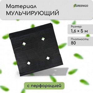 Материал мульчирующий, с перфорацией, 5?1.6 м, плотность 80 г/м?, спанбонд с УФ-стабилизатором, чёрный, Greengo, Эконом 30%