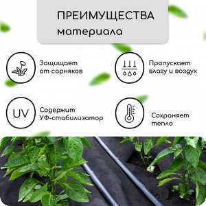 Материал мульчирующий, с перфорацией, 5?1.6 м, плотность 80 г/м?, спанбонд с УФ-стабилизатором, чёрный, Greengo, Эконом 30%
